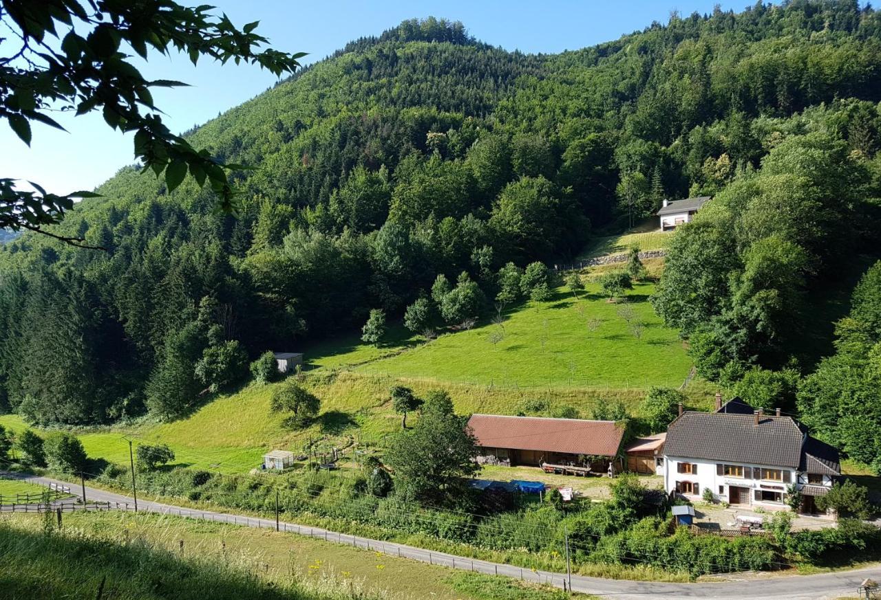 Gite Le Creux Chene Rombach-le-Franc Exterior foto